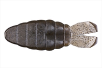 OSP I[GXs[ [ hCuSSM 3C` W004O[pvLybp[yz