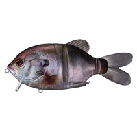 OSP �o�X���A�[ �h����127F K09�S�[�X�g���A���M��