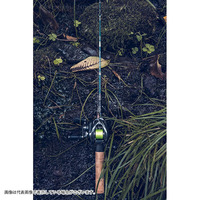 WFbgXE WFbgZb^[ 46Cyz