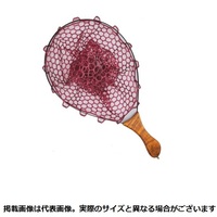 W[Ntg fBOlbg GfCX^lbg(Xg[g) STCY