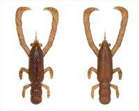 �t�B�b�V���A���[ ���[�� �t�����O�V�������v 2.6�C���` #06�O���p�����b�h/�I�����W