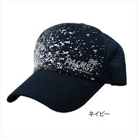 p[X@p[X򖗕bVLbv^lCr[