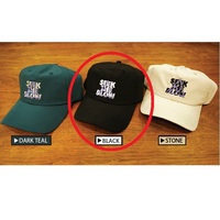 レイドジャパン 帽子 STB 6PANEL NYLON CAP【即日発送】(DARK
