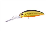 OSP@I[GXs[ oXA[ _N48F IWx[ H04yz