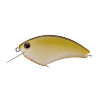 OSP oXA[ HPFNNSPEC2 I[u_Y[ L55yz