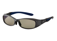 ZEQUE [N[ F-1203 ާ CAVARO /Ȳް TRUEVIEW SPORTS