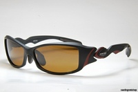 ư Όݸ׽ BW-0042F ׳×گ ذ