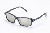 [N[ ΌOX F-2065 XpCN gD[r[X|[c/ Vo[ ~[ K^