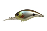 ylR|XΏەizDSTYLE(fBX^C) N[Abv(CRAWL-UP) tbVOJTMyz