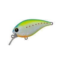 yCtH[h GCgSR #013 VgX`[gyz