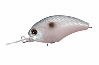 OSP oXA[ ^Cj[ubc-MR PP21 WF[hVbh