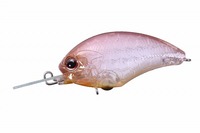 OSP oXA[ ^Cj[ubc-MR C43 sNfB[