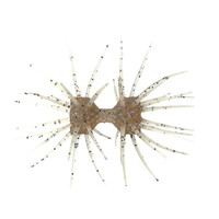 �C�}�J�c ���[�� �_���x���N���u �G���X�g�}�[ (�G�R�Ή��i) #S-638 ����G�r
