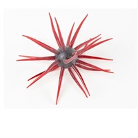 �n�C�h�A�b�v ���[�� �R�C�P �t���L���X�g #108 �X�J�b�p�m��