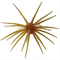 nChAbv [ RCP 17mm #263 NLgL