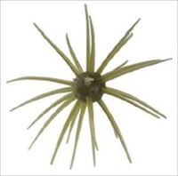 nChAbv [ RCP13mm #101 EH[^[ ll1_ X܂Ōϕs