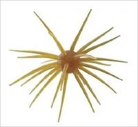 nChAbv [ RCP13mm #263 NLgL ll1_ X܂Ōϕs