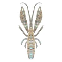 �y�l�R�|�X�Ώەi�z���[�f�B�[�Y�@�n�^�򂢁@�ځ@�Q�D�T�C���`�@�N���A�z��