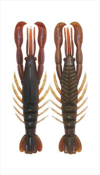 {gAbv n[Vv(Hurry Shrimp)4.0C` Obpm