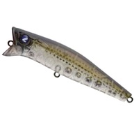 BLUEBLUE(�u���[�u���[)�@�K�{�b�c�I�I�I�X�O�@���Q�O�N���A�{��