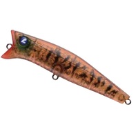 BLUEBLUE(�u���[�u���[)�@�K�{�b�c�I�I�I�X�O�@���Q�P�N���A�I�����W�^�C�K�[