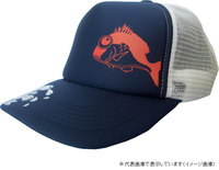 Rqi^@XXOS@}_CAJLbv@TWt[@lCr[