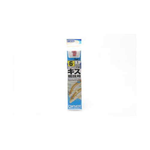 I[i[ OHLXZp(t)  6-1 20145