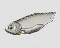 ylR|XΏەiz_C@^oCurr@T@NM