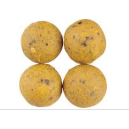 �y�����z�_�C���@�b�a�@�r�b�n�o�d�w�Q�O�[�T�O�O