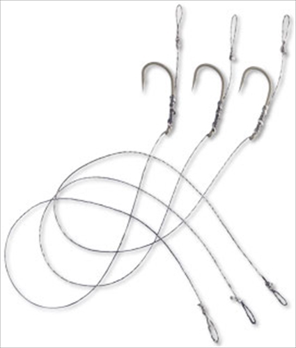 �y�����z�_�C���@�b�E�g�`�h�q�@�q�h�f�@�k�r���S�[�Q�O