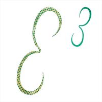 V}m ^Co ⃉o ED-X01U  XgOJ[[ 004 O[S[hyz