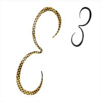 �V�}�m �^�C���o �⃉�o ED-X01U ���� �X�g�����O�J�[���[ 005 �u���b�N�S�[���h�y���������z