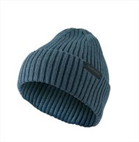 �u���[�O���[