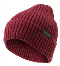 ���C�����b�h