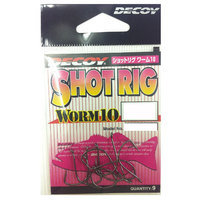 ylR|XΏەizfRC(DECOY) -10 VbgO 5yz