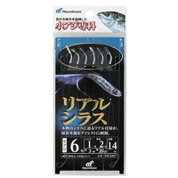 ylR|XΏەiznuT HS201AWȃAVX6-1yz