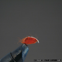 o[q iGA&jttC COMPLETE P10 XJbh C(XeBuE)