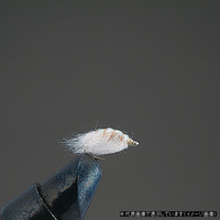 o[q iGA&jttC COMPLETE P11 XJbh D(sN)