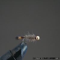 o[q iGA&jttC COMPLETE P14 r[Yjt C(i`)