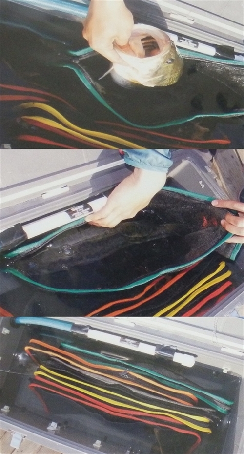 tBbVA[@tBbV@veNg@obO@ehrg@oqnsdbs@a`f@`Zbg