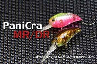 �y�l�R�|�X�Ώەi�z�W���b�J���@�e�B�����@�p�j�N���@�c�q�@�S���e�B�O���[