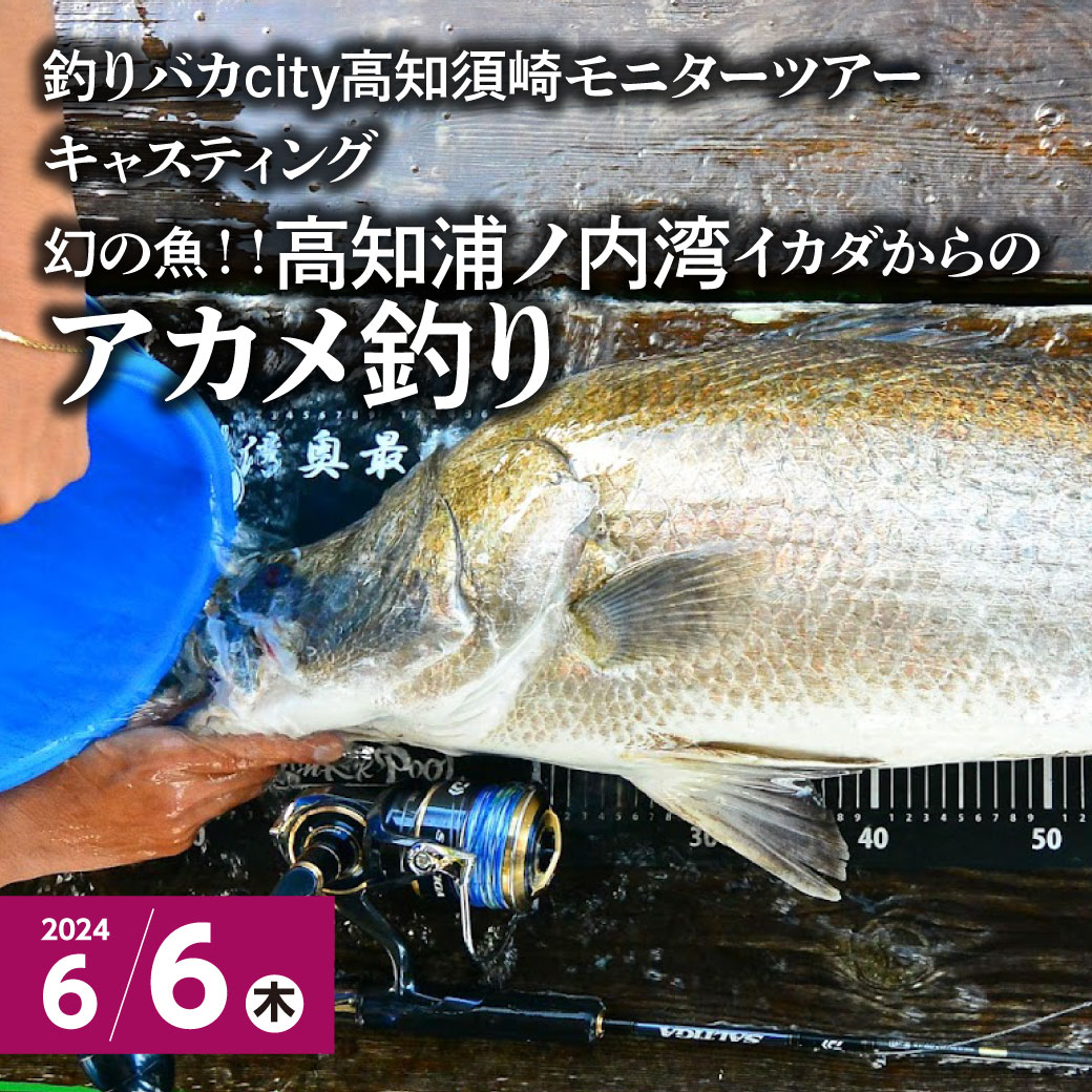 【6月6日(木)】高知須崎モニターツアー 浦ノ内湾アカメ釣り
