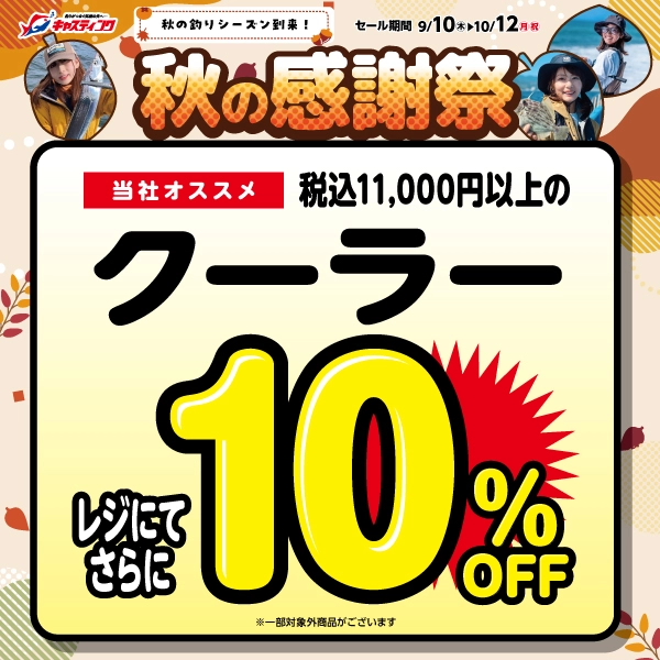 �N�[���[10%OFF