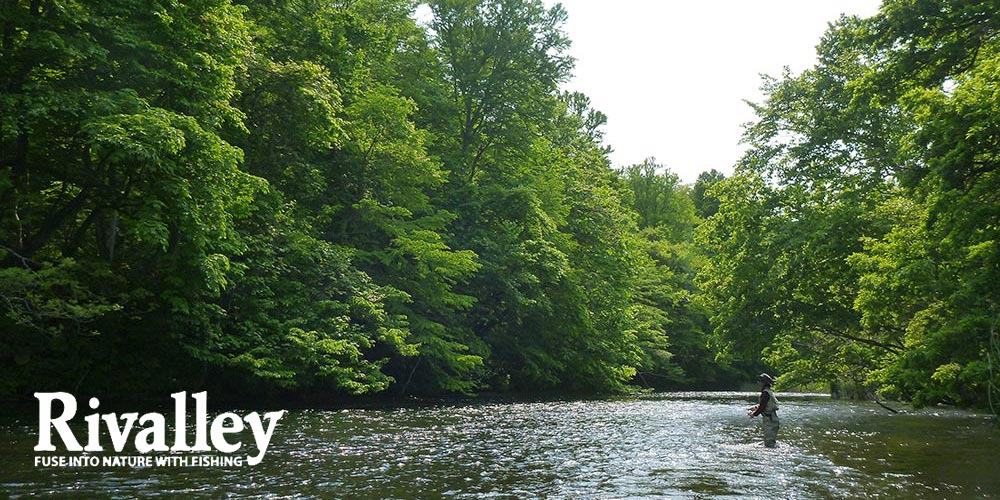 Rivalley