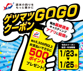 ����GOGO�N�[�|��