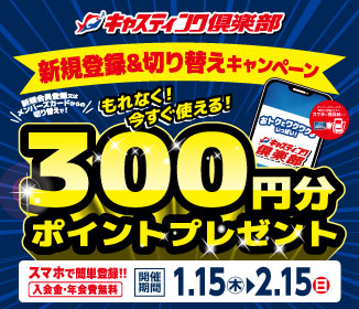 �V�K����o�^300pt