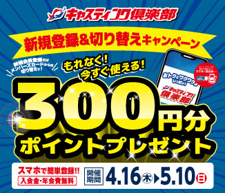 �V�K����o�^300pt