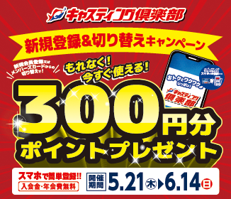 �V�K����o�^300pt