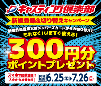 �V�K����o�^300pt