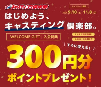 �V�K����o�^300pt